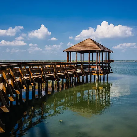 Milady * ロゾリーナ・マーレ