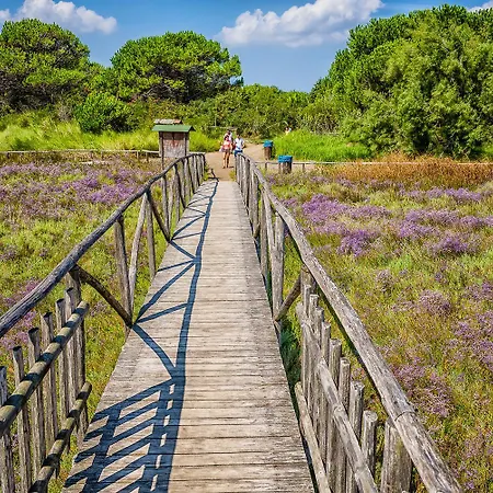 Milady * ロゾリーナ・マーレ