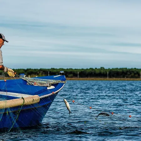 ヴィラ Milady ロゾリーナ・マーレ