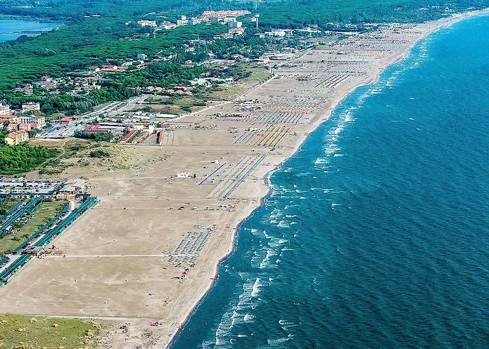 Milady * Rosolina Mare