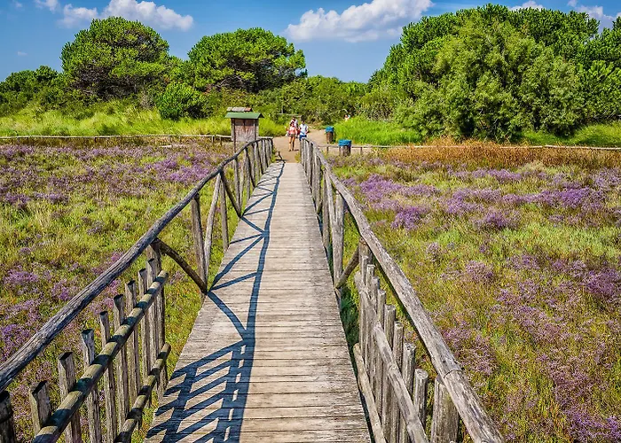 Milady * Rosolina Mare