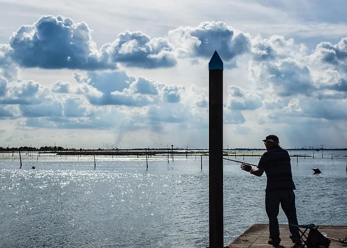 Milady Rosolina Mare